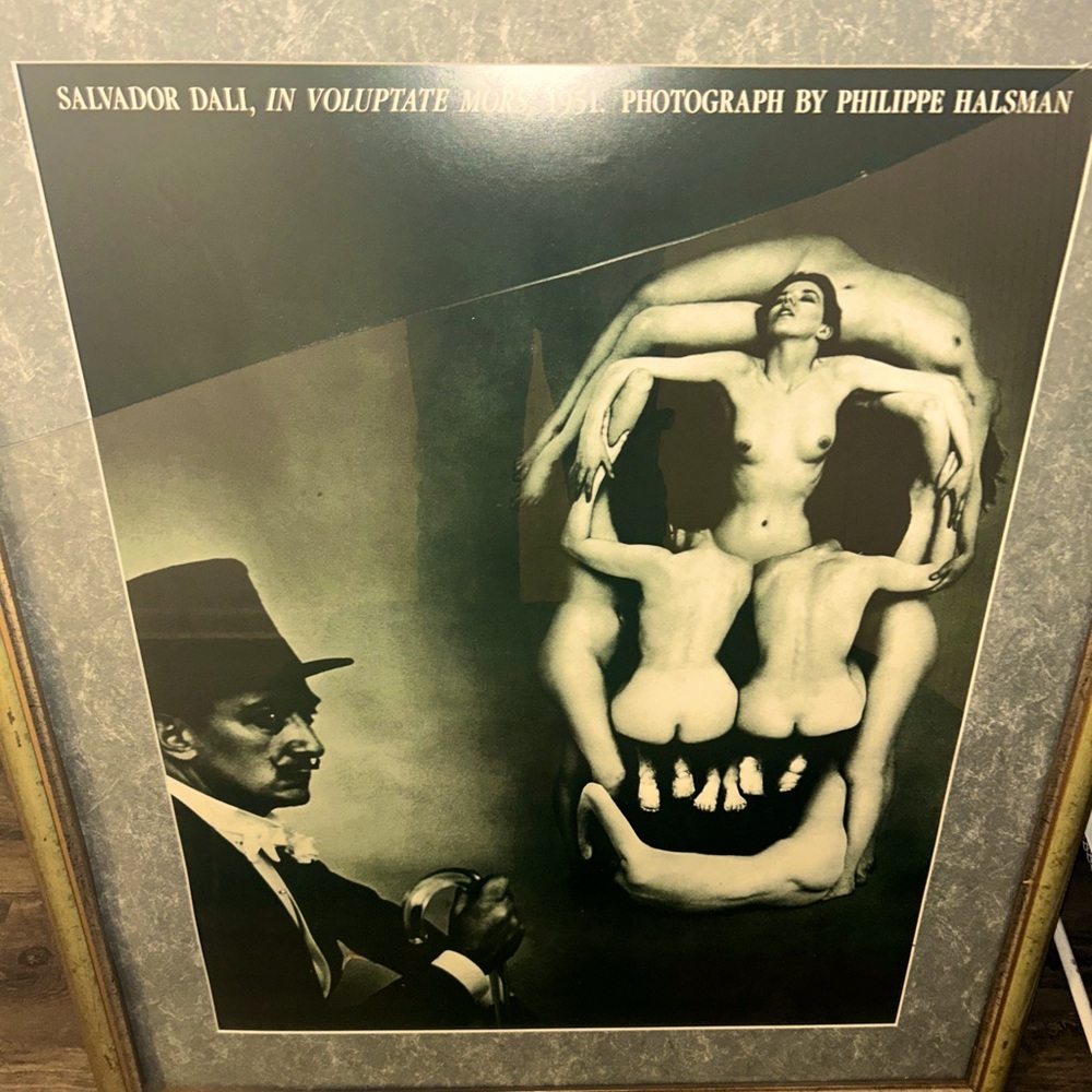Dali picture in frame (no glass insert)